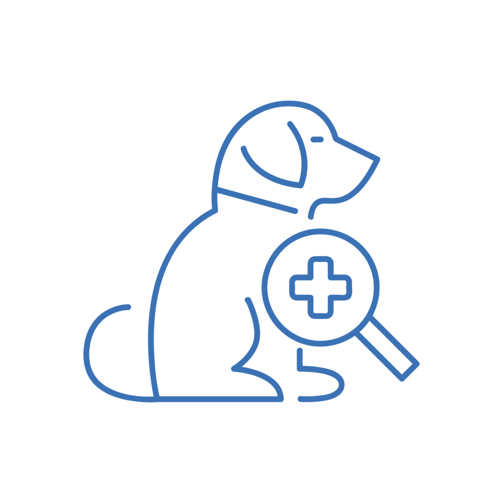 Icona illustrativa del servizio di Dermatologia dell'Ambulatorio Veterinario Sant'Anna in provincia di Padova