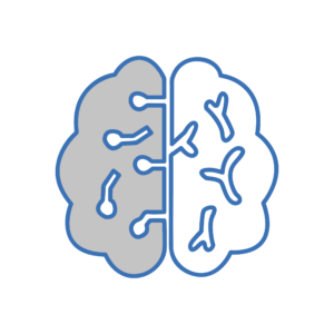 Icona illustrativa del servizio di Neurologia dell'Ambulatorio Veterinario Sant'Anna in provincia di Padova
