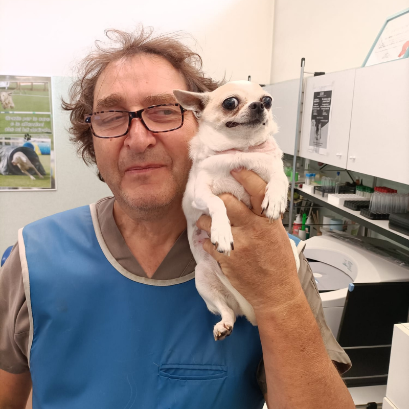 Il Dottor Stefano Giupponi, direttore Sanitario dell'Ambulatorio Veterinario Sant'Anna tiene in braccio un cane bianco